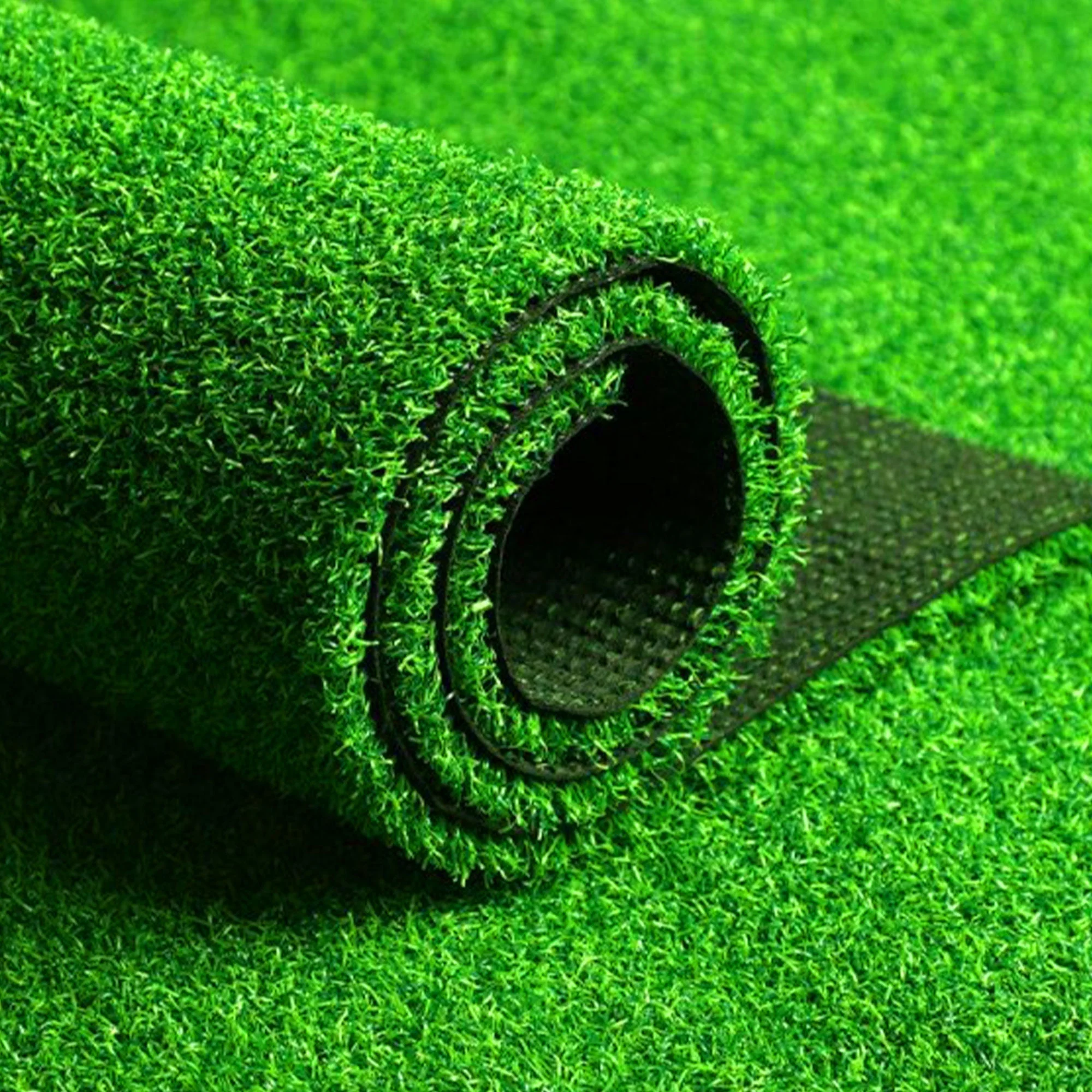 Carpet Grass @ 20 Rs per square foot